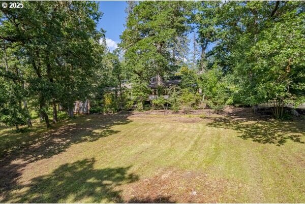 86595 N Modesto Dr, Eugene, OR 97402 - view of green lawn