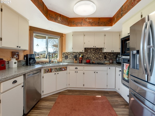 kitchen with tasteful backsplash, dark wood finished floors, a tray ceiling, appliances with stainless steel finishes, and a sink