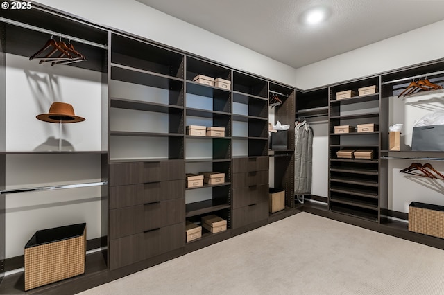 spacious closet featuring carpet floors