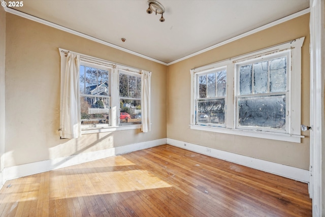 empty room with crown molding and light hardwood / wood-style flooring