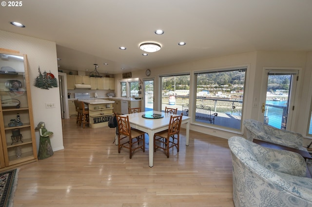 dining room featuring light wood-type flooring