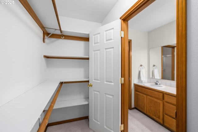 spacious closet with sink and light colored carpet