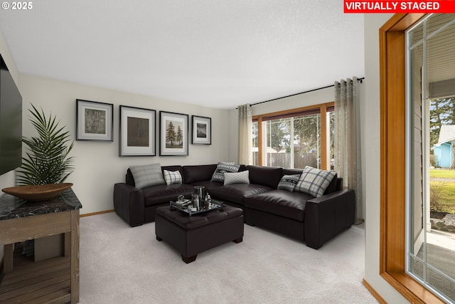 view of carpeted living room