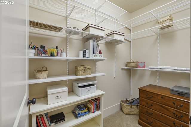 10135 SW Morrison St, Portland, OR 97225 - walk in closet featuring carpet