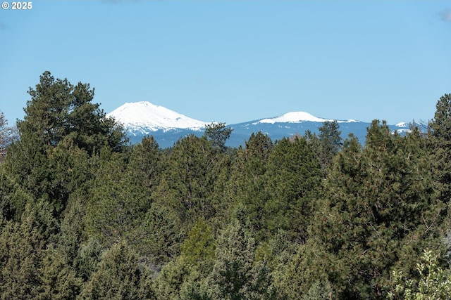 view of mountain background with a forest