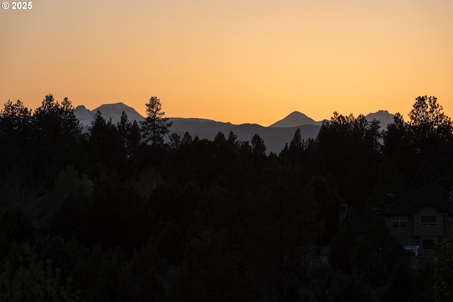 view of mountain backdrop featuring a heavily wooded area