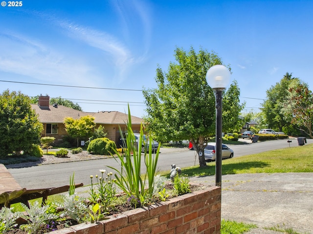 450 Pleasant Ave, Astoria, OR 97103 - view of yard