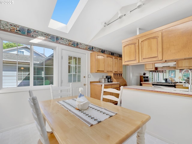 450 Pleasant Ave, Astoria, OR 97103 - dining space with lofted ceiling and a skylight