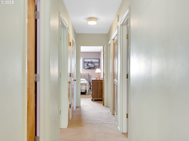 450 Pleasant Ave, Astoria, OR 97103 - corridor featuring light carpet