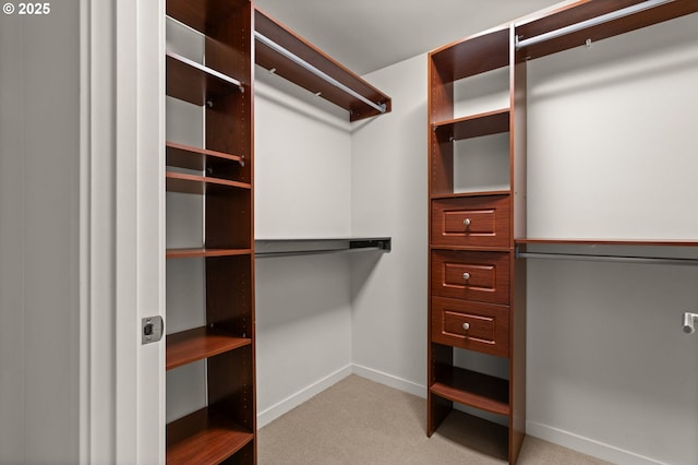 spacious closet with light carpet