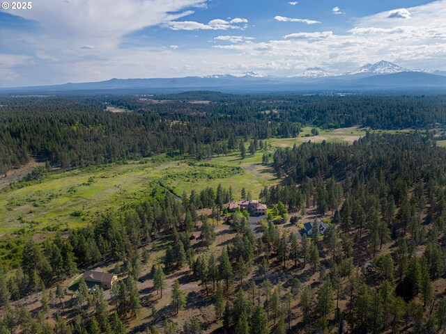 16465 Suntree Ln, Sisters, OR 97759 - view of property location featuring a forest and a mountainous background
