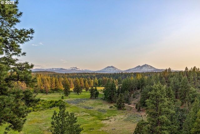 16465 Suntree Ln, Sisters, OR 97759 - view of mountain background featuring a forest