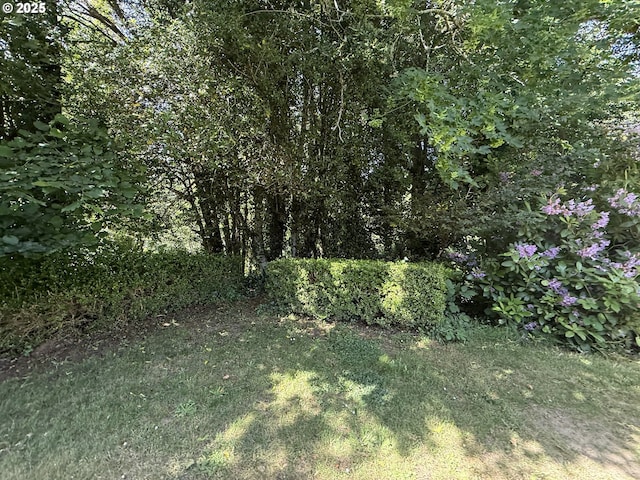 880 E 2nd St, Coquille, OR 97423 - view of yard