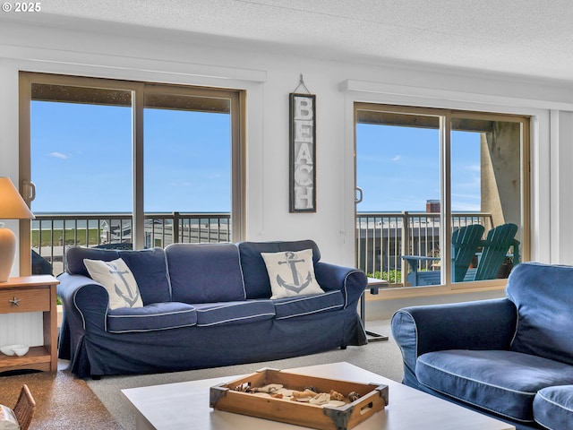 1146 N Marion Ave Unit 628, Gearhart, OR 97138 - living area featuring healthy amount of natural light and a textured ceiling