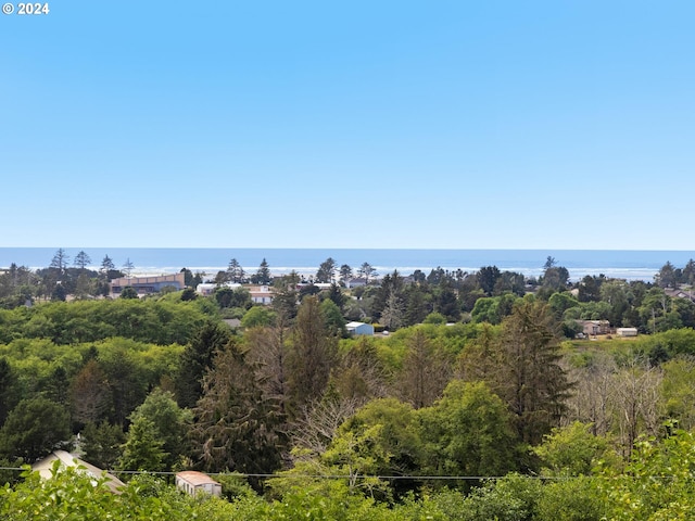 1790 Thompson Falls Dr, Seaside, OR 97138 - bird's eye view of a large body of water
