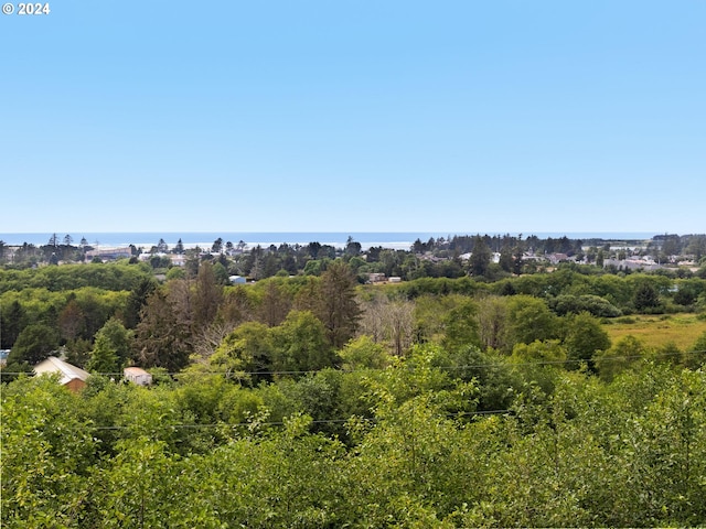 1790 Thompson Falls Dr, Seaside, OR 97138 - aerial view