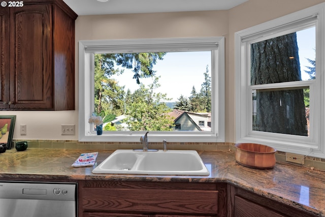 kitchen with stainless steel dishwasher, a sink, and dark brown cabinets