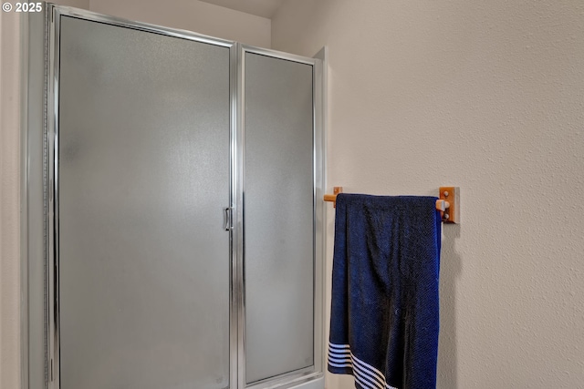 bathroom featuring a shower stall
