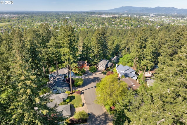 aerial perspective of suburban area featuring a forest and a mountain backdrop