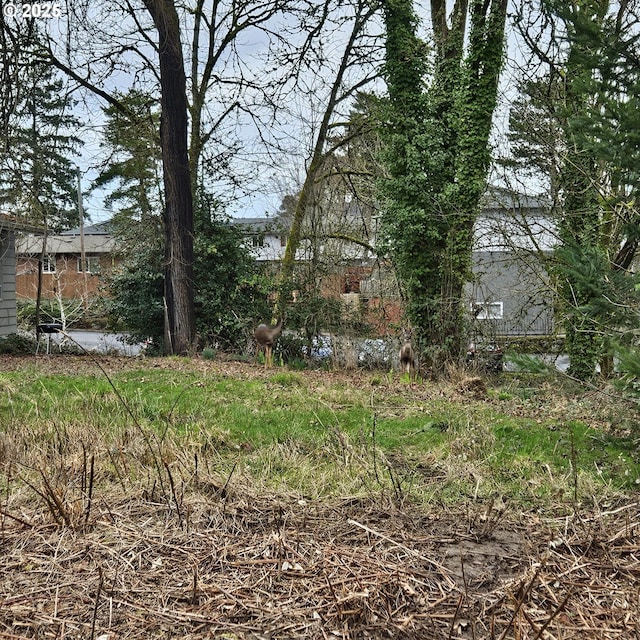 3rd St Unit 2, Newberg, OR 97132