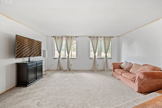 22224 S Kamrath Rd, Oregon City, OR 97045 - living room with light carpet
