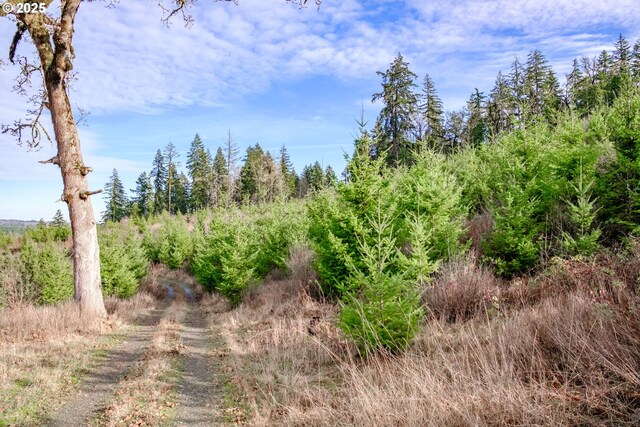 0 Airlie Rd, Monmouth, OR 97361