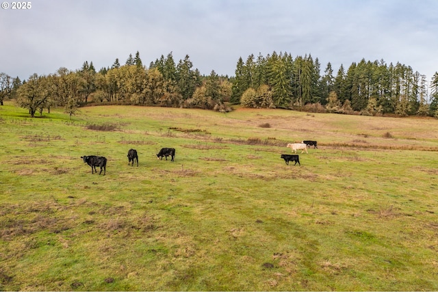 0 Airlie Rd, Monmouth, OR 97361