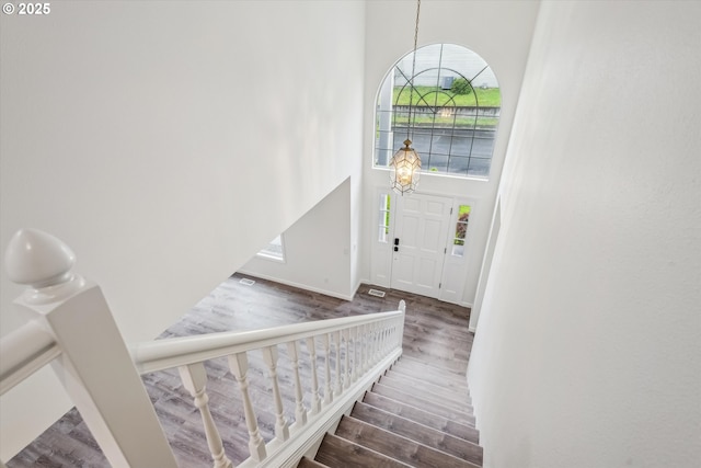 foyer featuring a high ceiling, wood finished floors, healthy amount of natural light, and baseboards