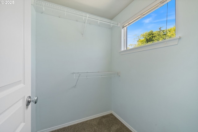 8465 S Hollyhock St, Rockaway Beach, OR 97136 - walk in closet featuring dark colored carpet