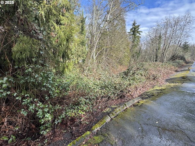 view of yard featuring a forest view