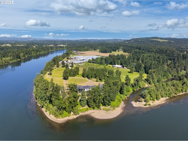 32088 SW Peach Cove Rd, West Linn, OR 97068 - bird's eye view of a heavily wooded area and a nearby body of water