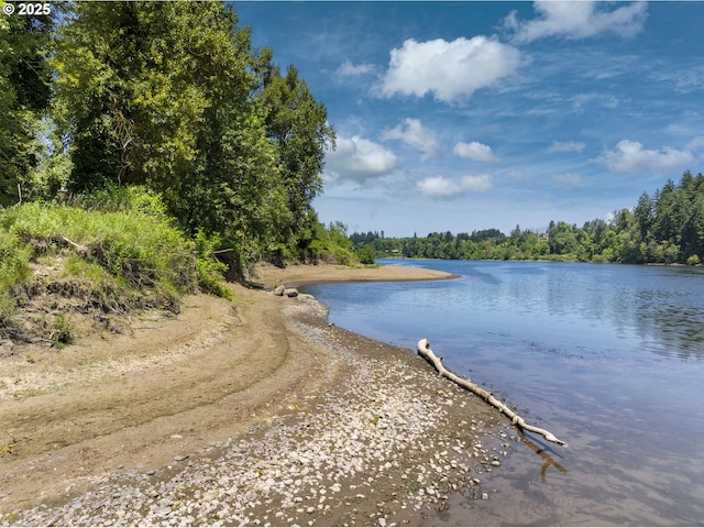 32088 SW Peach Cove Rd, West Linn, OR 97068 - water view featuring a heavily wooded area
