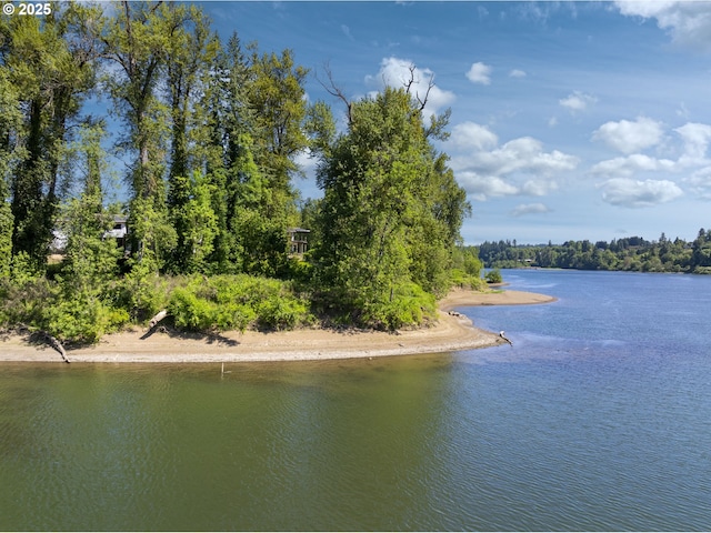 32088 SW Peach Cove Rd, West Linn, OR 97068 - water view