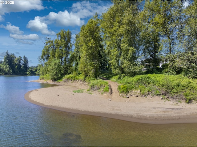 32088 SW Peach Cove Rd, West Linn, OR 97068 - water view