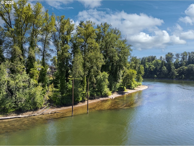 32088 SW Peach Cove Rd, West Linn, OR 97068 - water view featuring a heavily wooded area