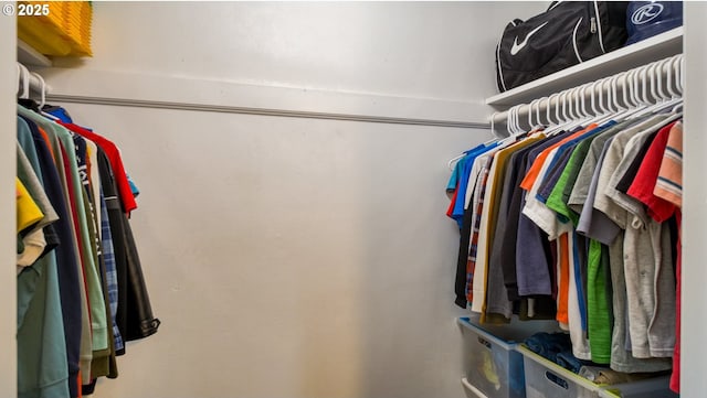 view of spacious closet