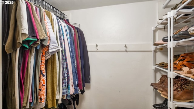 view of spacious closet