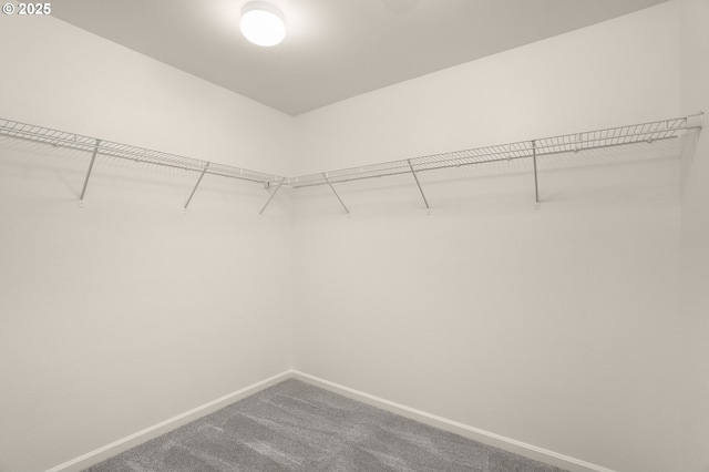 spacious closet with carpet