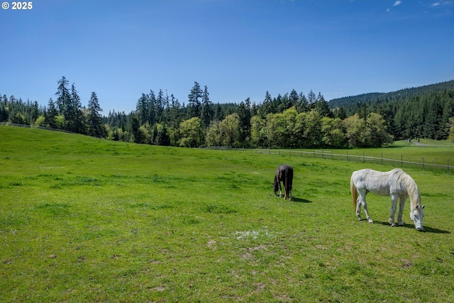 surrounding community with a rural view, a yard, a forest view, and fence