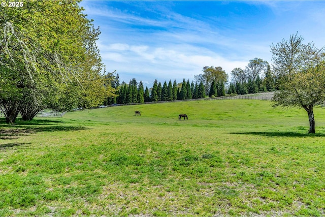 view of yard with a rural view and fence