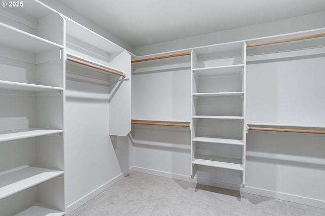 spacious closet with carpet floors