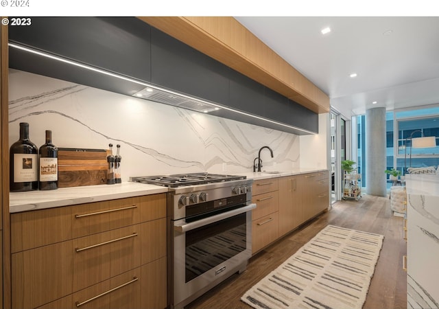 kitchen with backsplash, wood finished floors, high end range, modern cabinets, and a sink