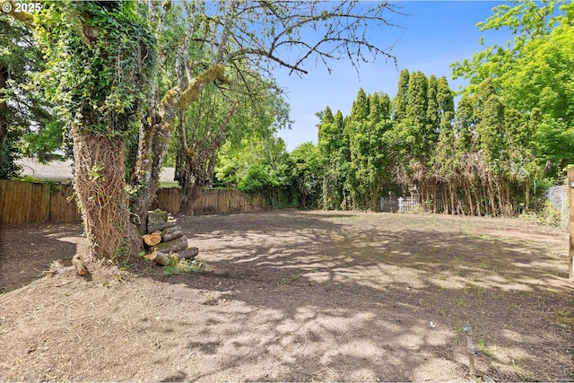 245 NE 4th Ave, Hillsboro, OR 97124 - view of yard