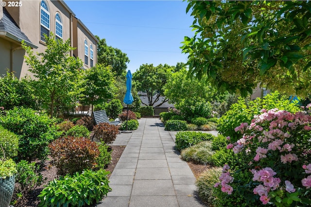 909 NE Brazee St Unit 16, Portland, OR 97212 - view of home's community