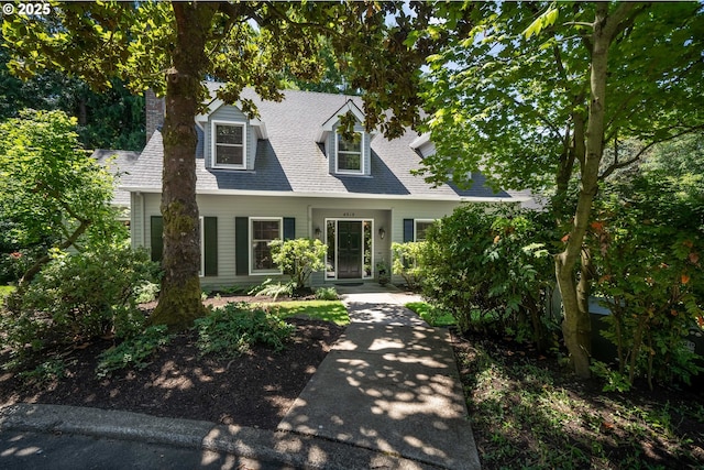 view of cape cod-style house