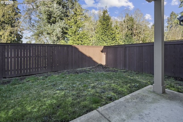 view of yard featuring a fenced backyard and a patio