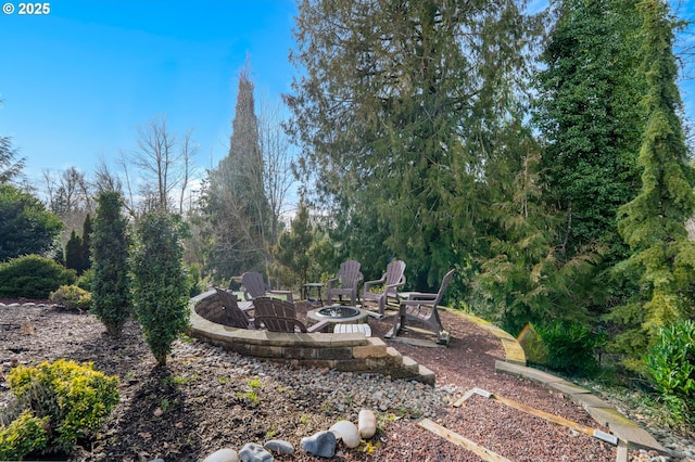 view of yard with a fire pit and a patio