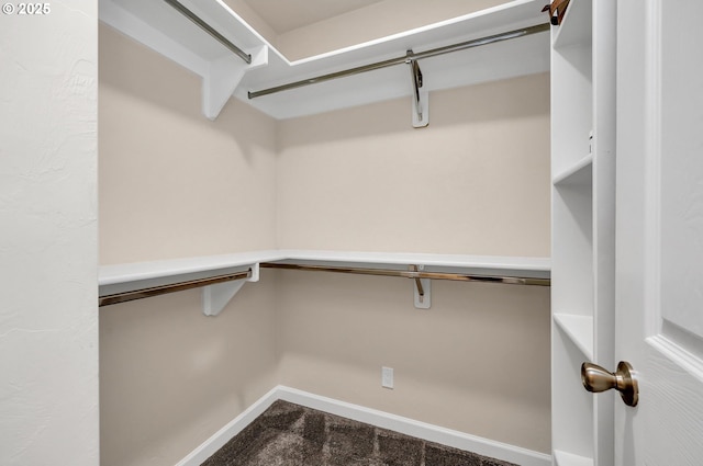 1364 Goodpasture Island Rd, Eugene, OR 97401 - spacious closet with carpet