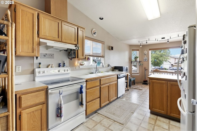 13810 NE 89th Cir, Vancouver, WA 98682 - kitchen with white appliances, under cabinet range hood, a sink, light countertops, and light flooring