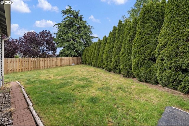 13810 NE 89th Cir, Vancouver, WA 98682 - view of yard